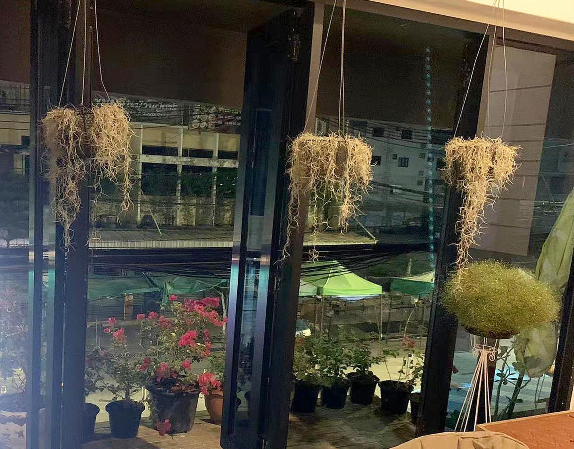 Susu Khaosan Hostel Bangkok Eksteriør billede